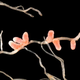 Illustration for article titled 4 Ways Tiny Microbes Changed Life on Earth Forever